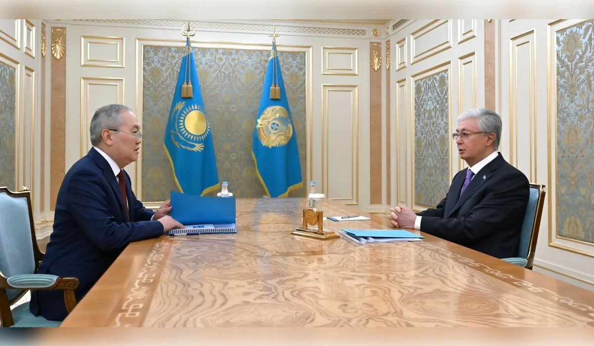 Финпирамиды, дроп-карты и фиктивные фирмы: глава АФМ отчитался перед Токаевым