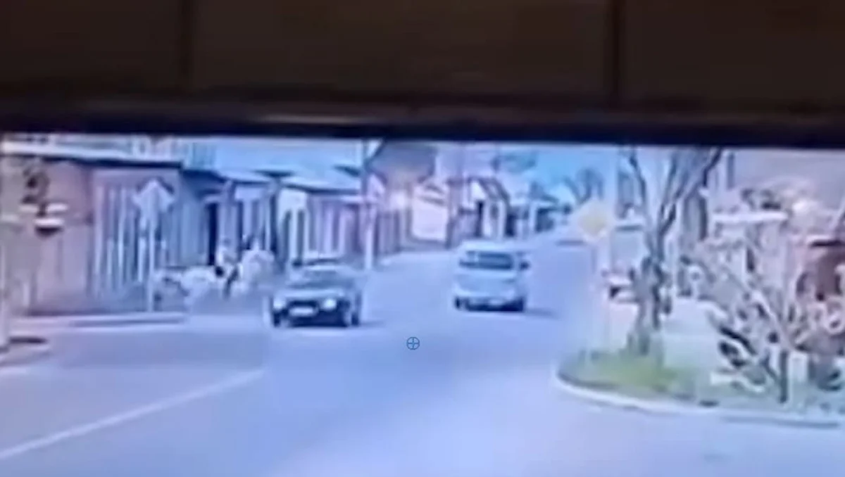 Ребенок на лошади попал в ДТП в Таразе: появились кадры происшествия