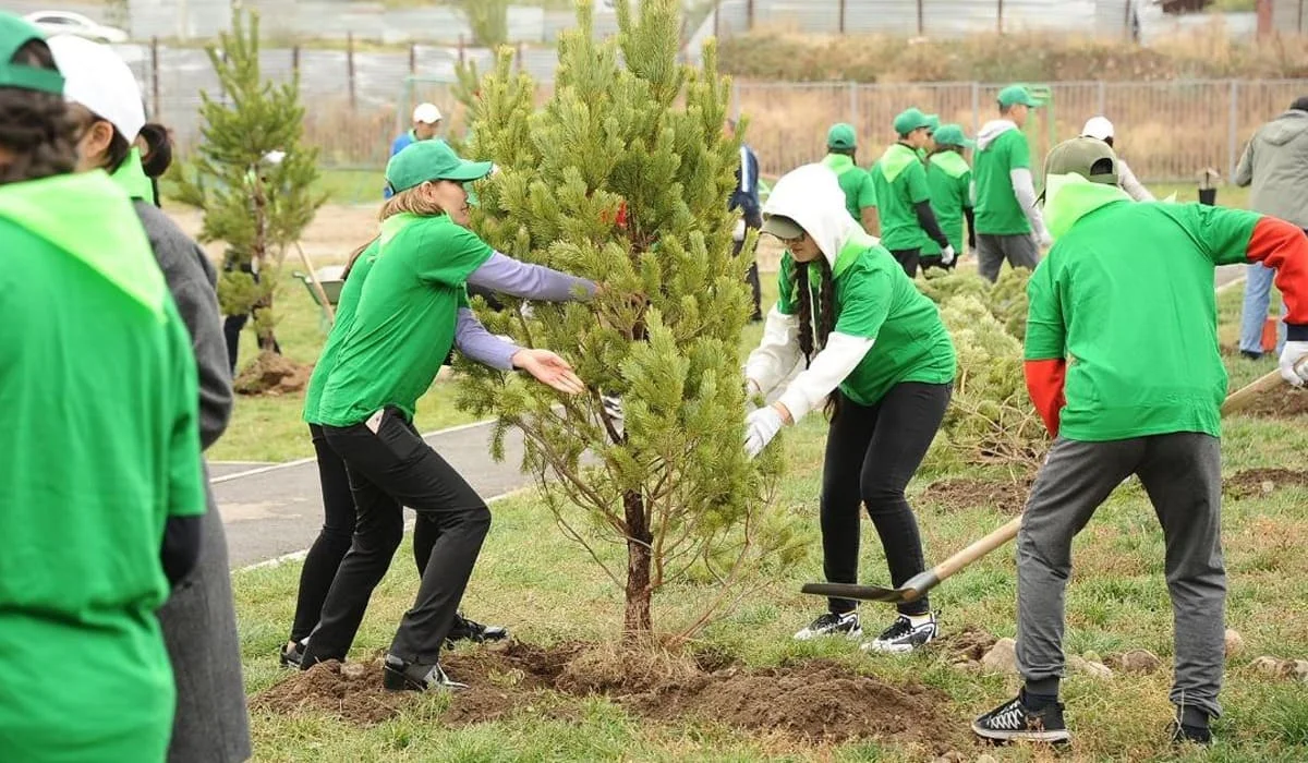 «Таза Қазақстан»: больше 550 тысяч зеленых насаждений высадят в Алматы в 2026 году