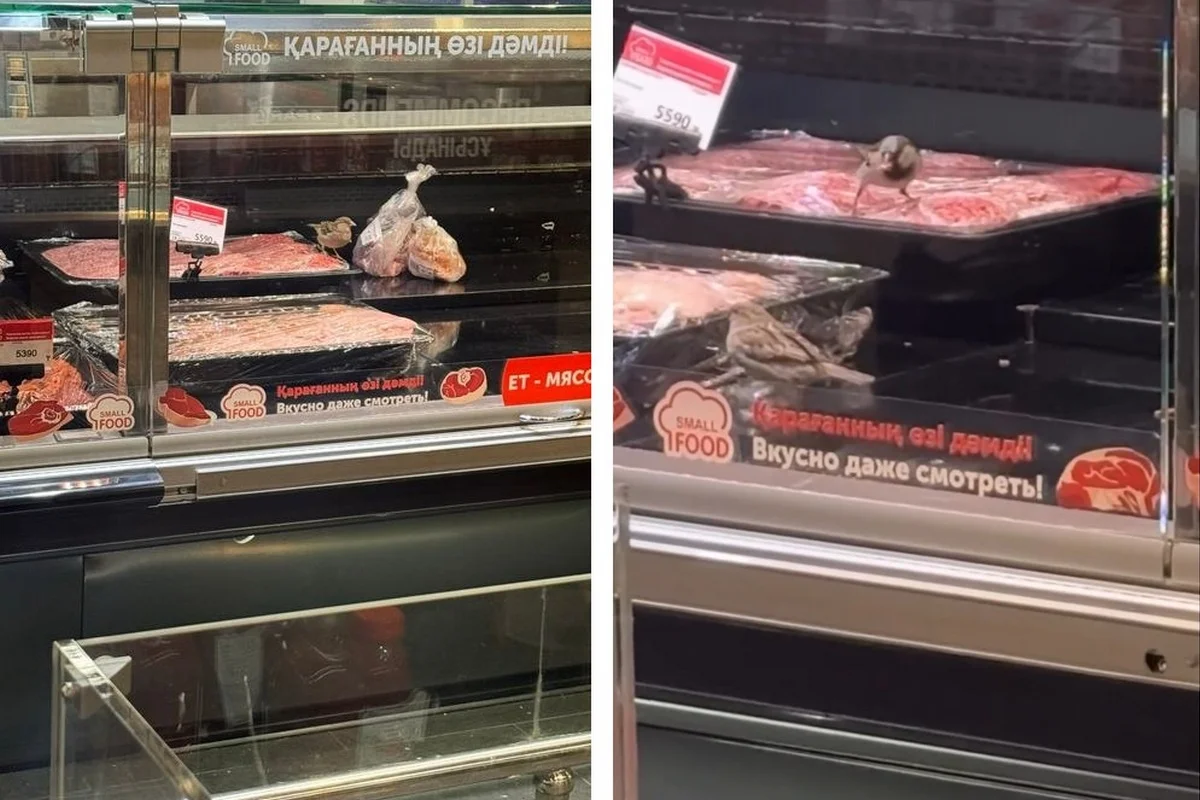 Воробьи налетели на мясо в витрине: снятое в Small видео обеспокоило астанчан