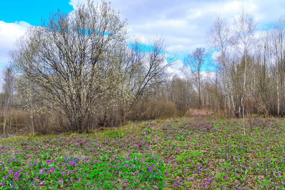 Погода без осадков ожидается на большей части Казахстана 7 апреля
