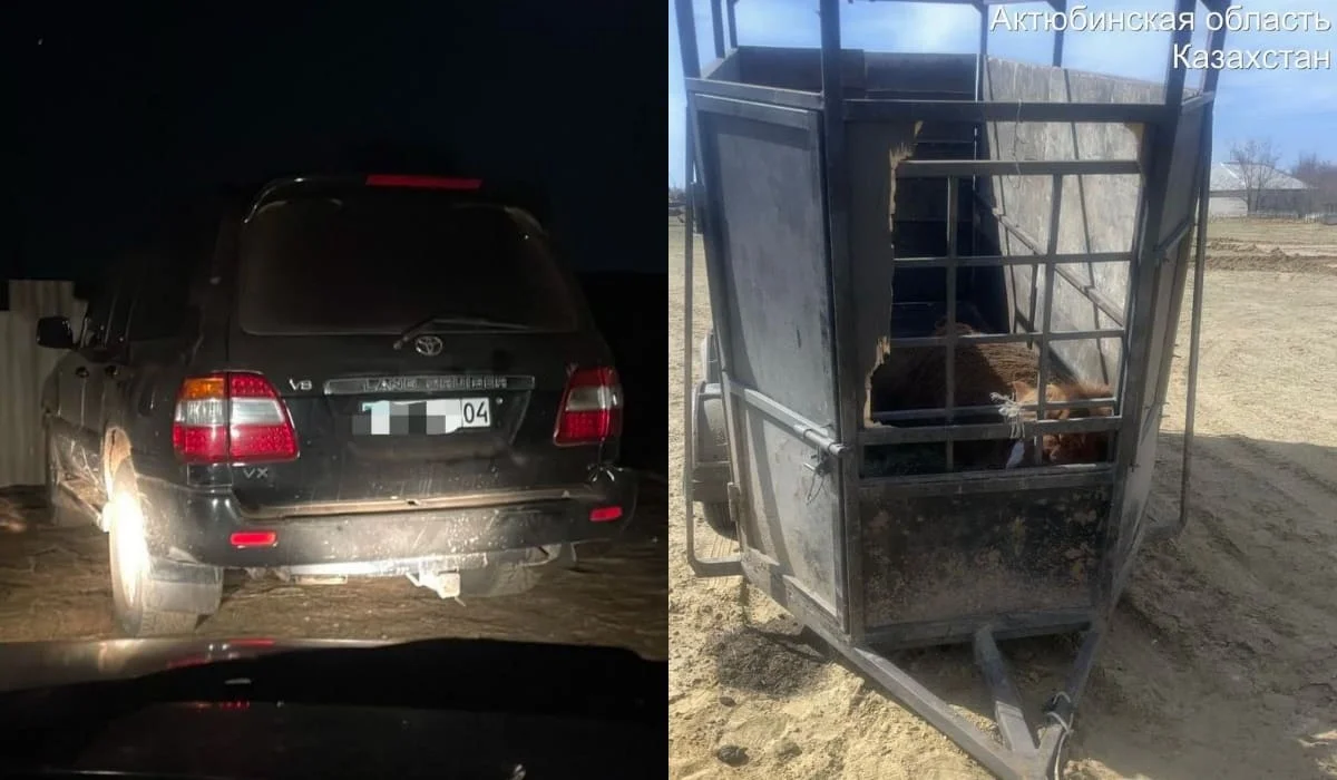 В степи Актюбинской области задержали мужчин, пытавшихся похитить кобылу с жеребенком (ВИДЕО)