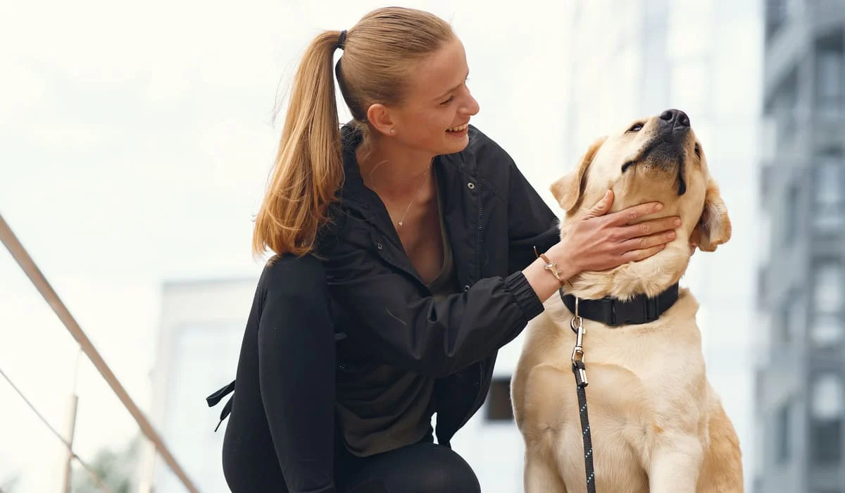 Новый закон о животных: ответственность владельцев ужесточат в Казахстане