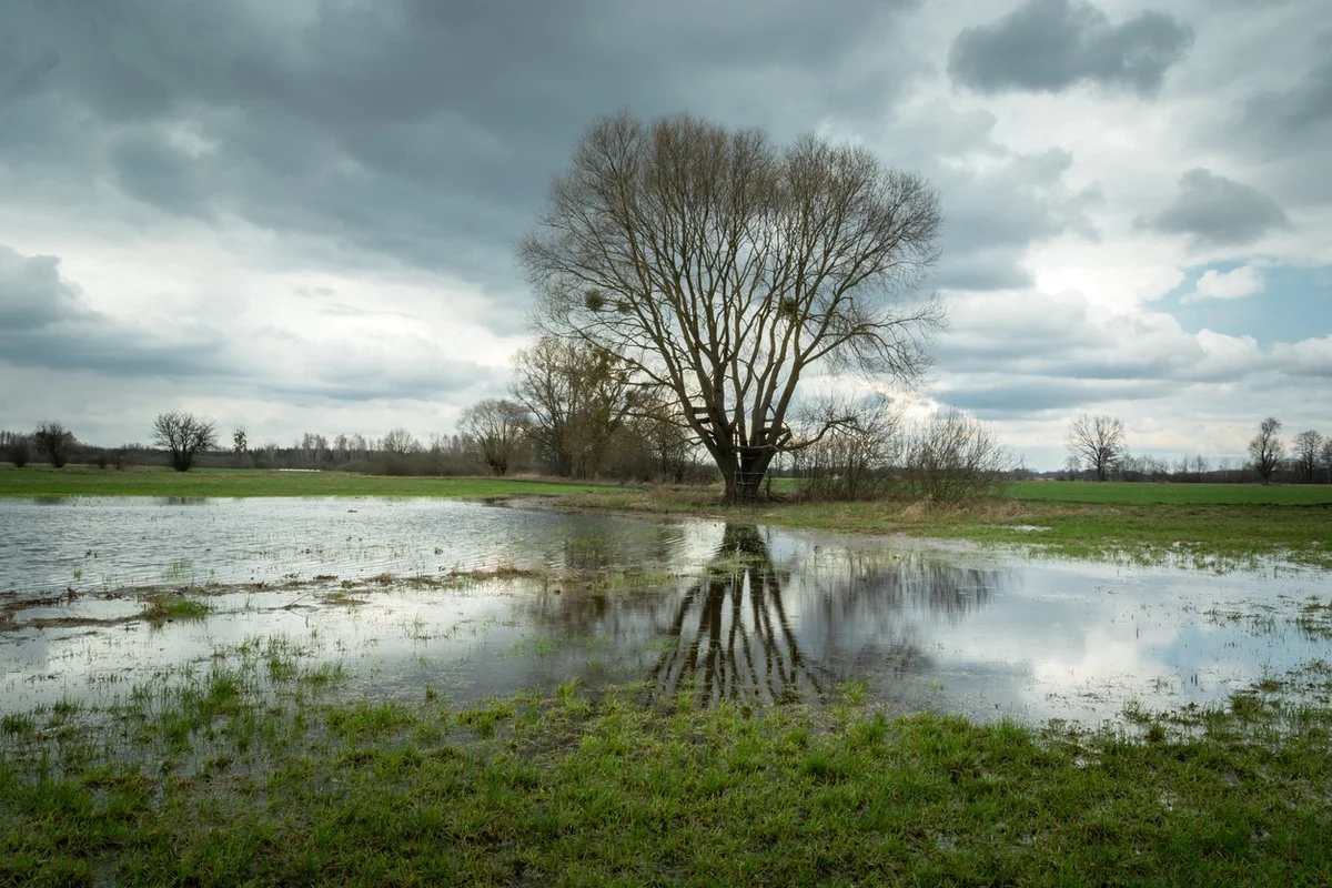 Дожди и туман: штормовое предупреждение объявили по всему Казахстану на 9 апреля