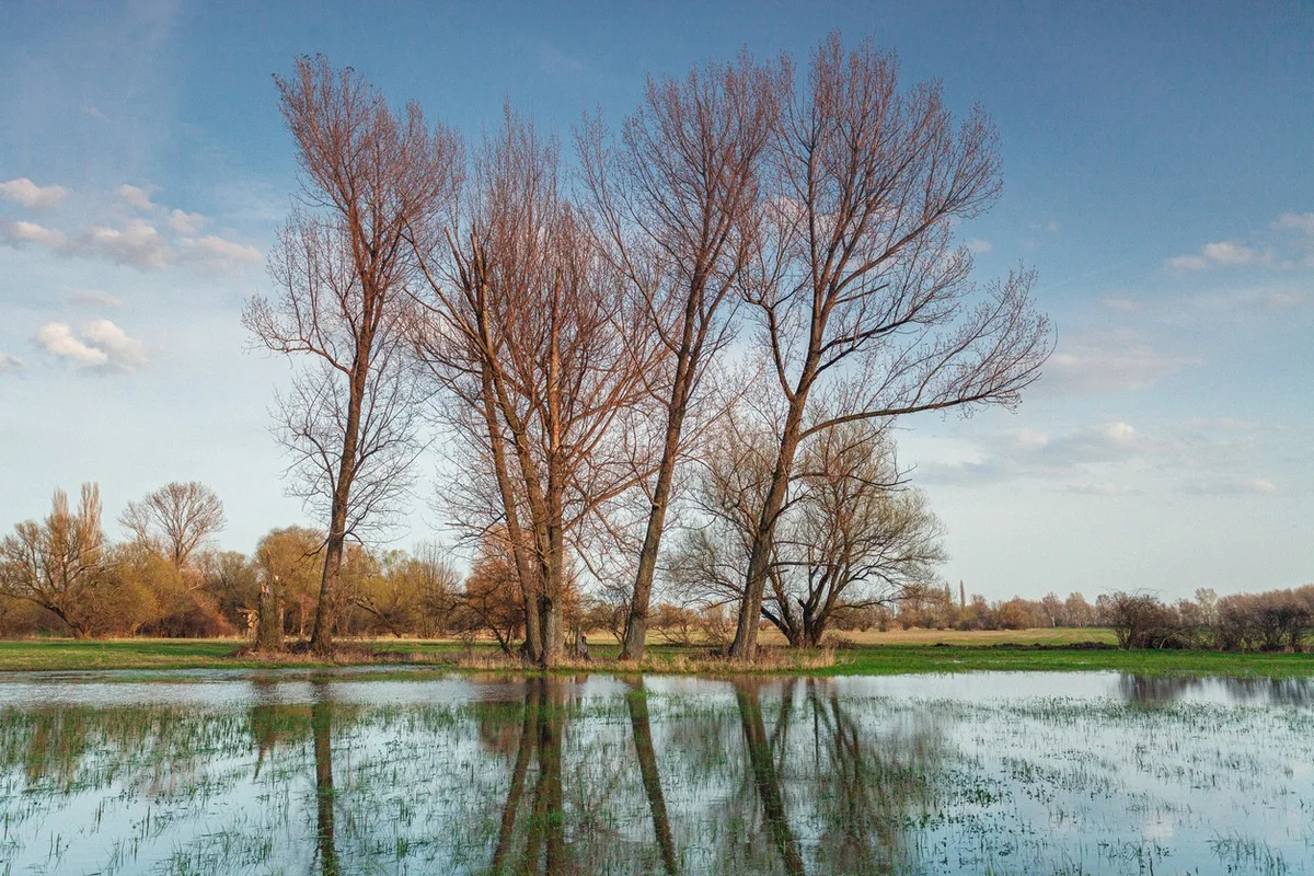 Прогноз погоды в Казахстане на 9 апреля