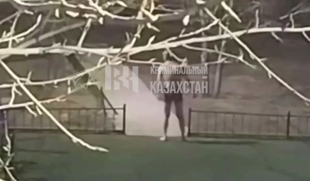 Голый мужчина с ножом напугал детей в Астане (ВИДЕО)