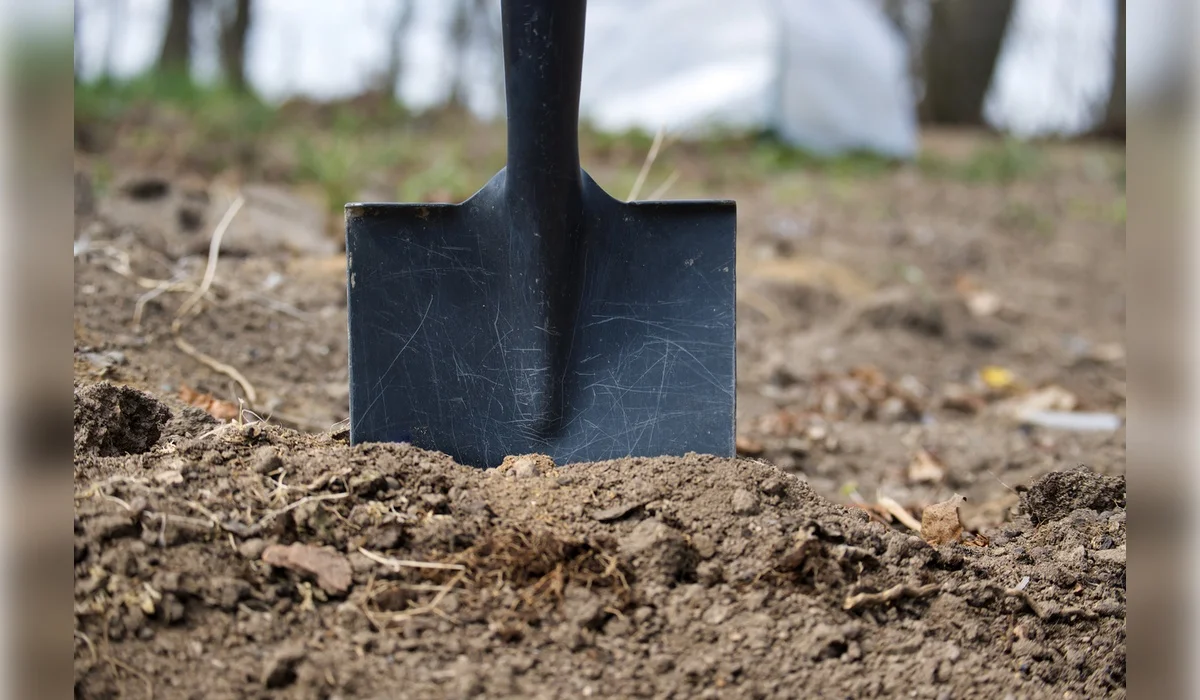 Нанес около 40 ударов: мужчина жестоко избил соседку в области Жетысу