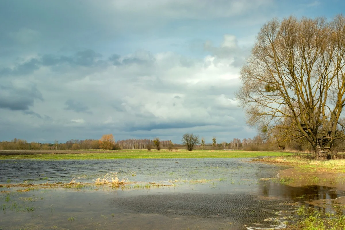 Штормовое предупреждение объявили по всему Казахстану на 11 апреля