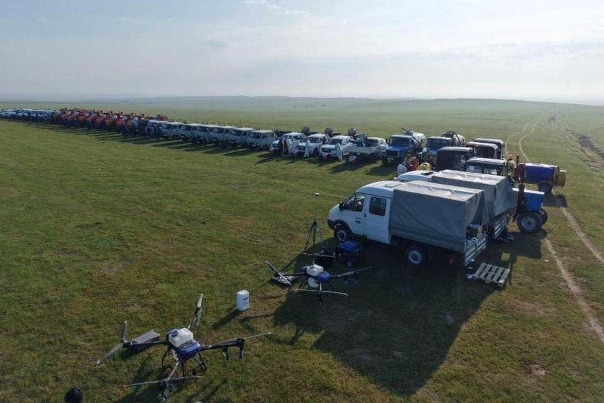 Как будут бороться в этом сезоне с саранчой в Казахстане