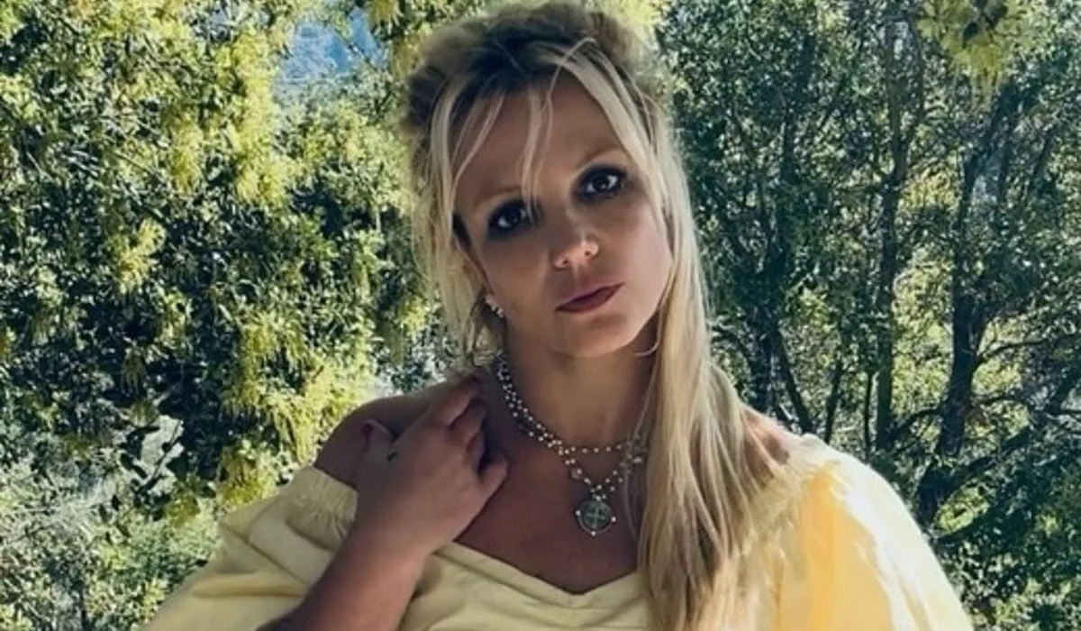 Бритни Спирс добровольно обратилась в реабилитационный центр