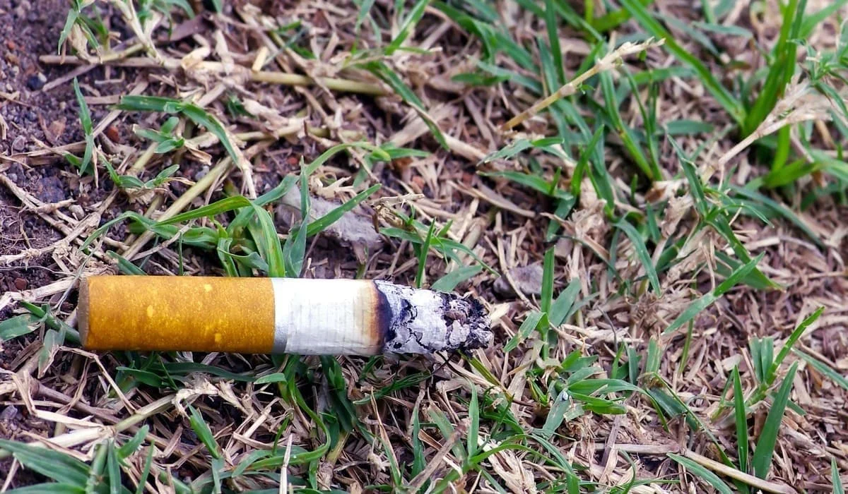 Одна сигарета обошлась казахстанцу в 30 тысяч тенге