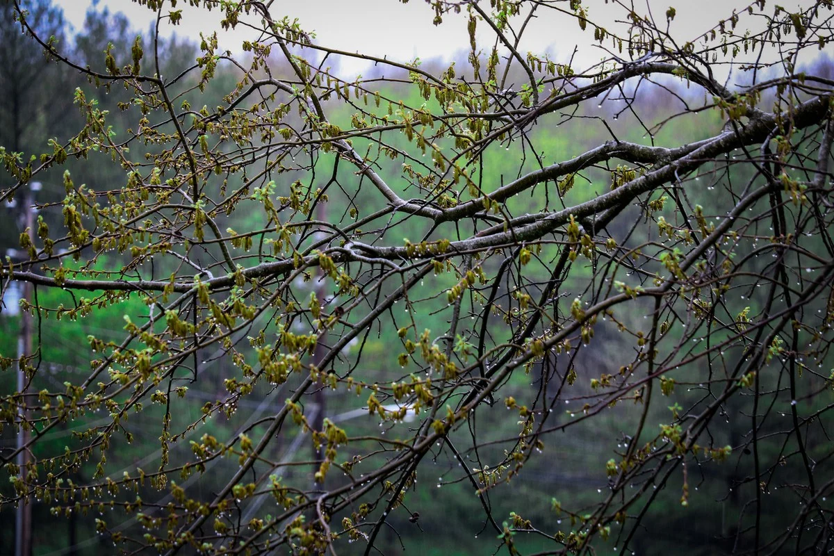 Дождь со снегом и грозы: штормовое предупреждение объявили в Казахстане на 15 апреля