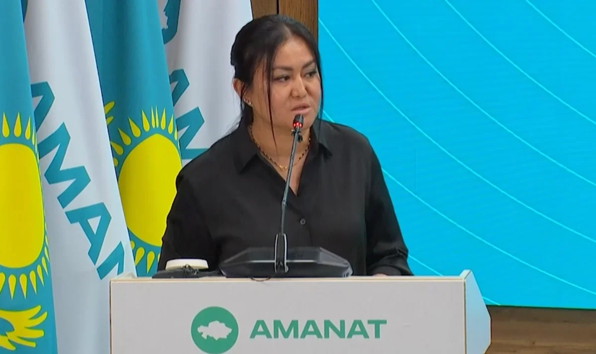 Проблемы бизнеса должны быть услышаны – член Казахстанской ассоциации налоговых консультантов