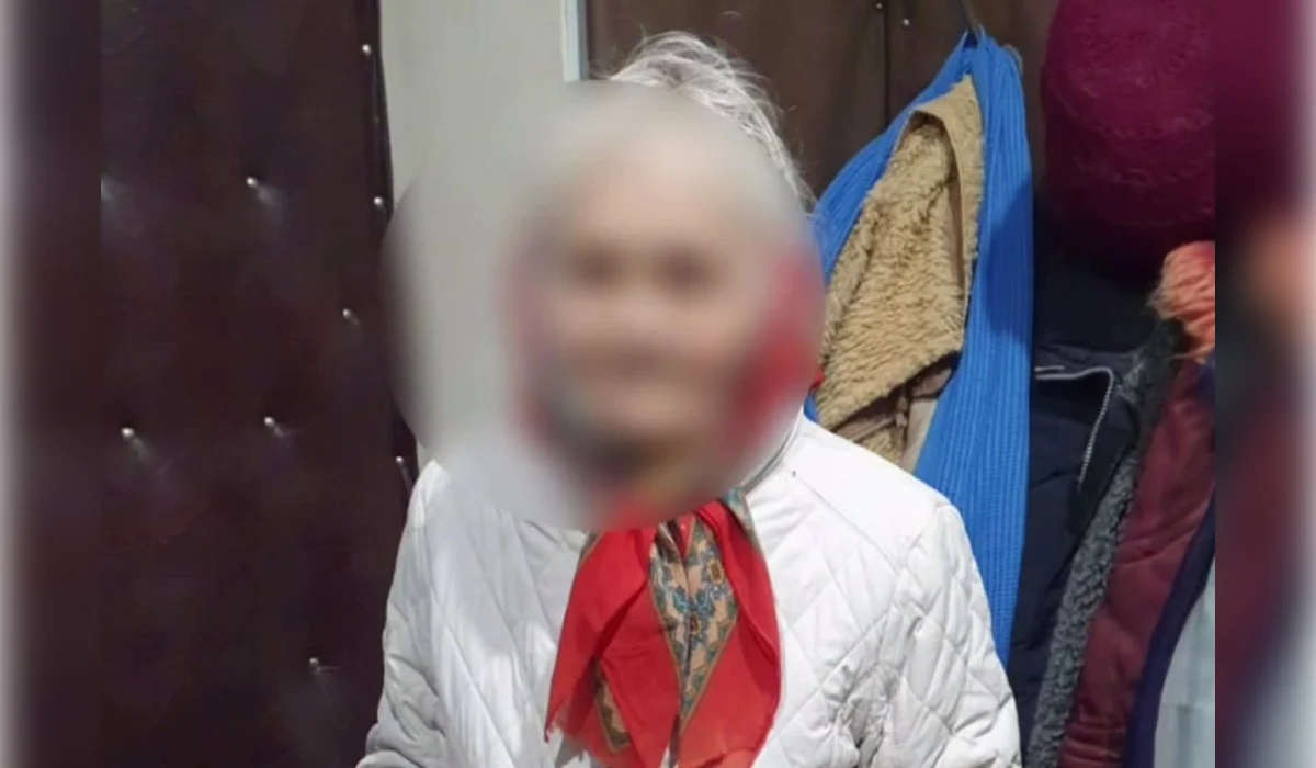 86-летняя пенсионерка провалилась в канаву с ледяной водой в СКО (ВИДЕО)