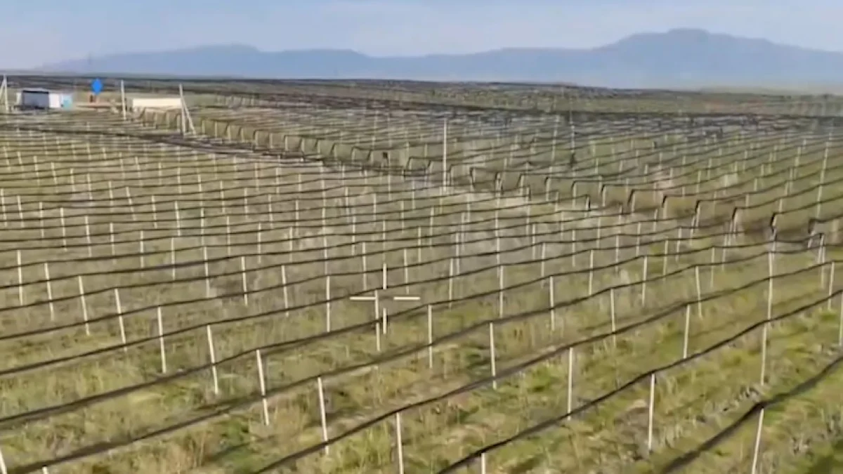 Экс-главу Фонда финподдержки сельского хозяйства подозревают в хищении больше 700 млн тенге