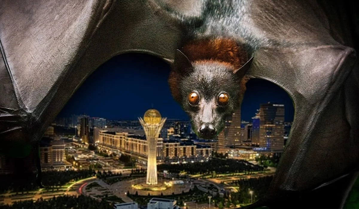 Летучие мыши в квартирах казахстанцев: насколько они опасны и почему проникают в наши дома