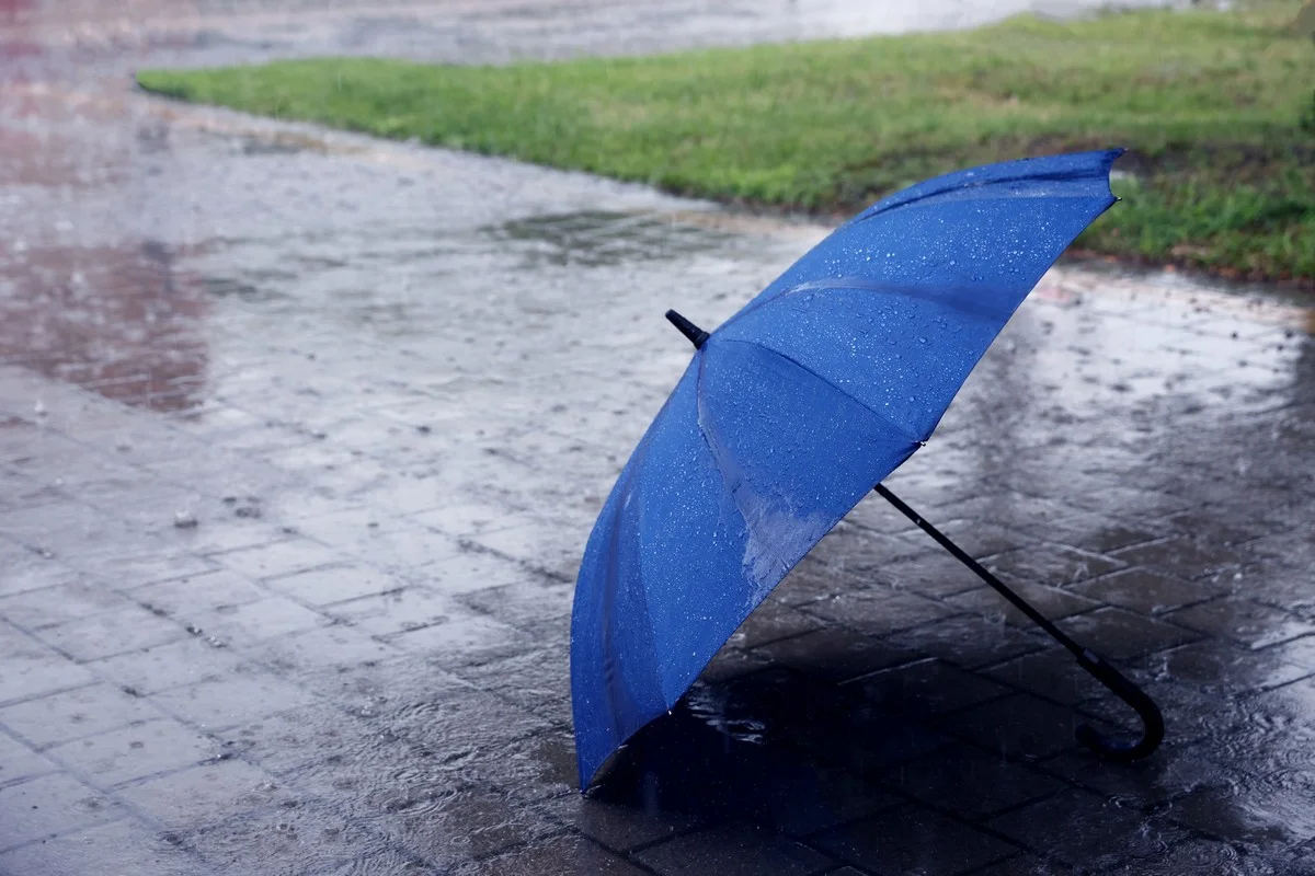 Прохладная погода с дождями сохранится в Казахстане 17 апреля