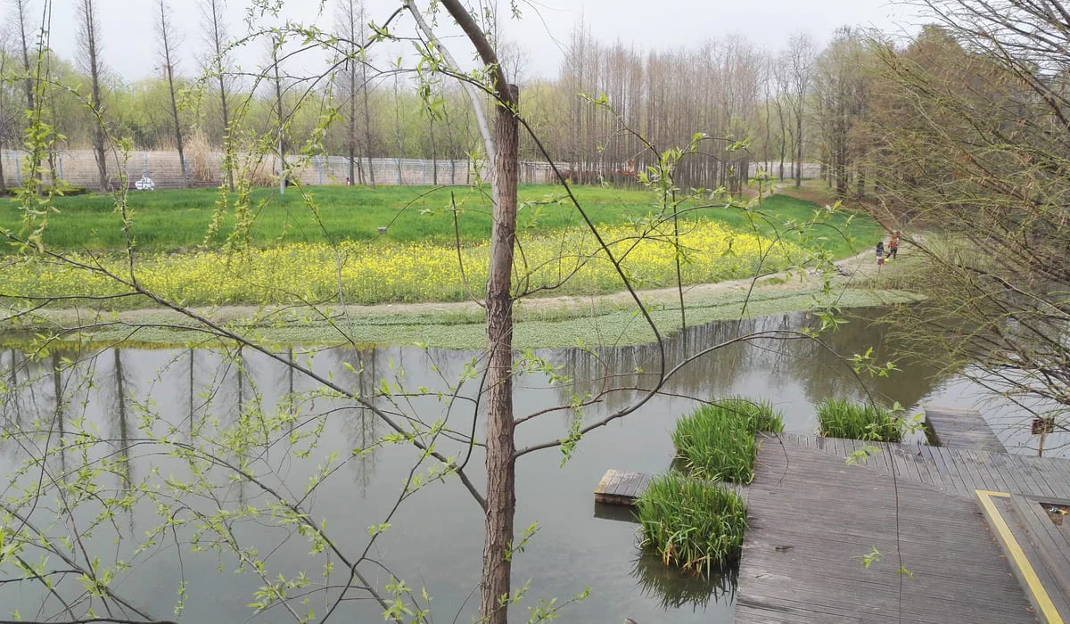 До +28 и дожди с грозами: какой будет погода в Казахстане в выходные