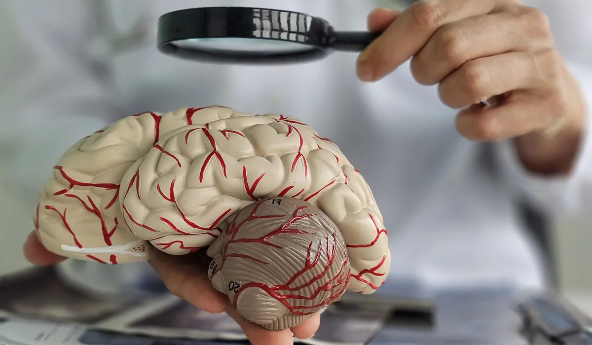 Смертность от болезней системы кровообращения снизилась на 16,3% в Казахстане