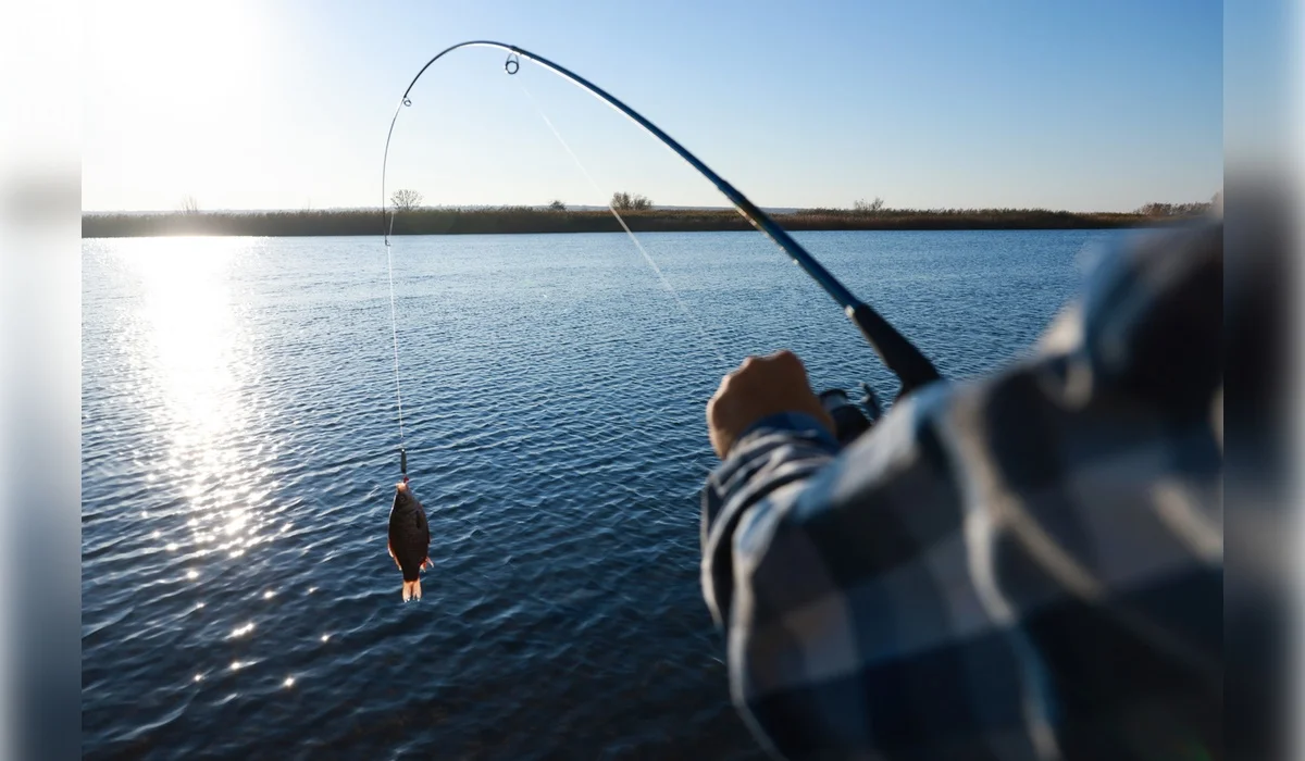 109 килограммов незаконного улова: рыбака осудили в Жамбылской области