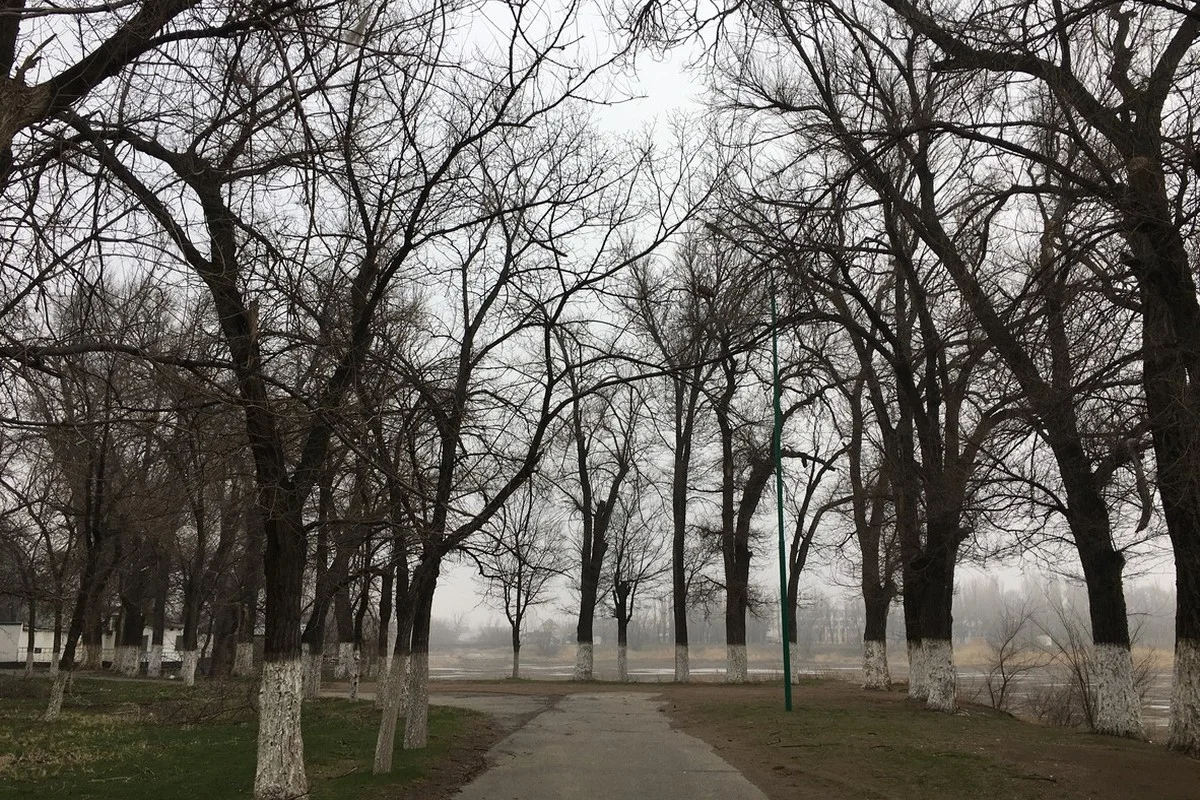 Заморозки и ветер: штормовое предупреждение объявили в Казахстане на 18 апреля