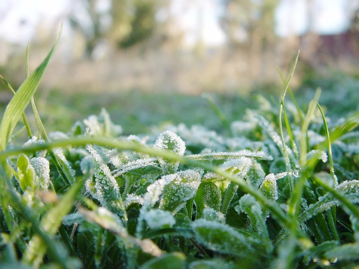 Гроза и заморозки: где в Казахстане на 19 апреля объявили штормовое предупреждение
