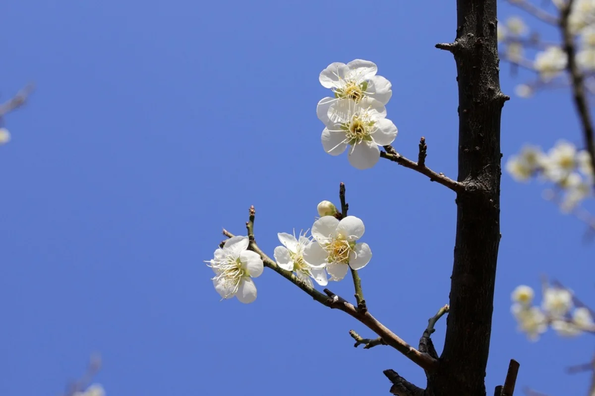 Прогноз погоды в Казахстане на 19 апреля