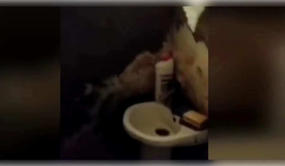 Клопы и забитая канализация: арестованные в Актобе пожаловались на условия в спецприемнике