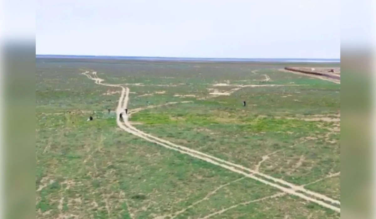 Видео с верблюдом среди мусора в степи: в акимате объяснили ситуацию