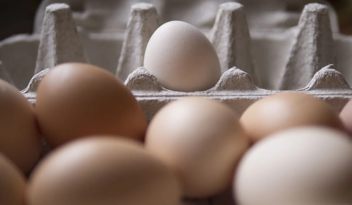 Казахстан ввел временный запрет на импорт яиц