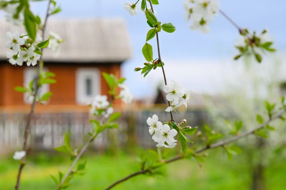 Какая погода ожидается в Казахстане 24 апреля