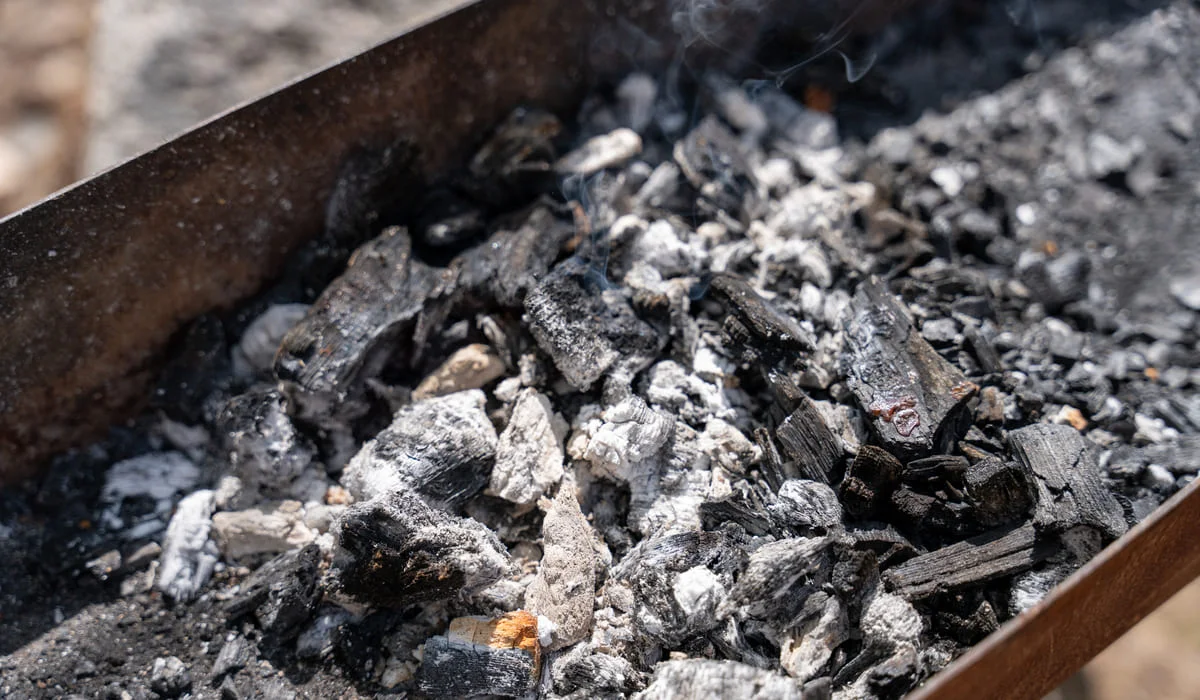 Вынос мусора из дома обошелся казахстанцу в 30,2 тысячи тенге