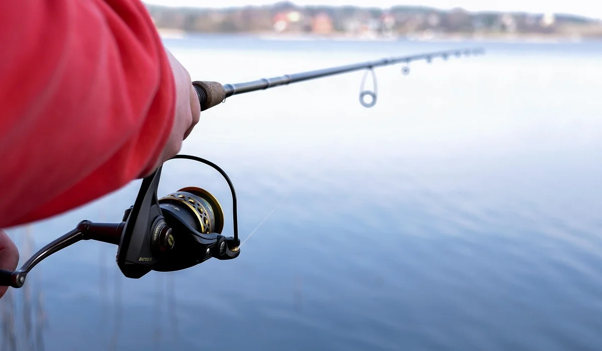 10 человек осудили за незаконный оборот осетровых в Атырауской области