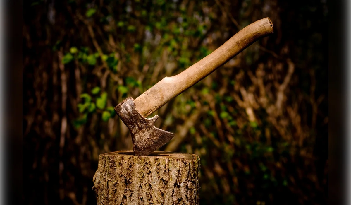 Женщина убила знакомого топором и спрятала тело под кроватью в СКО