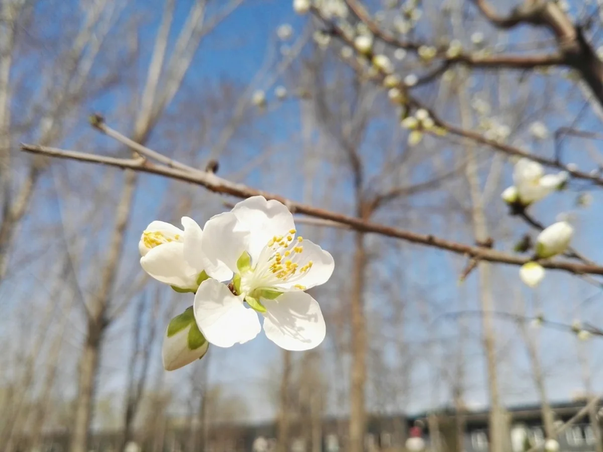 Град и +30: прогноз погоды в Казахстане на 26 апреля