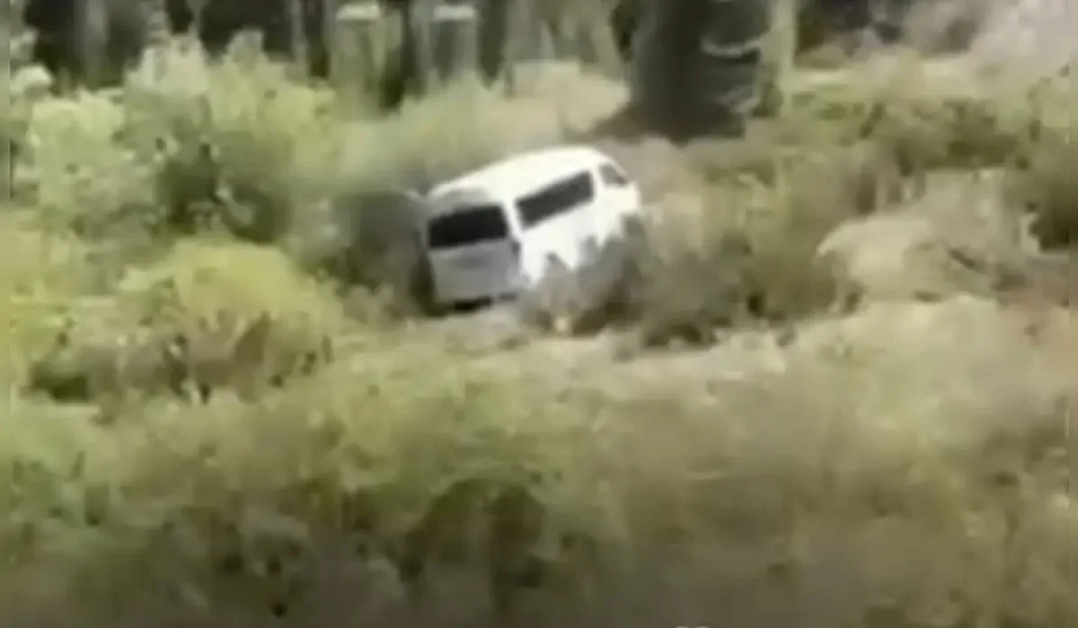 Автобус сорвался вниз у Кольсая: что ответили в МЧС