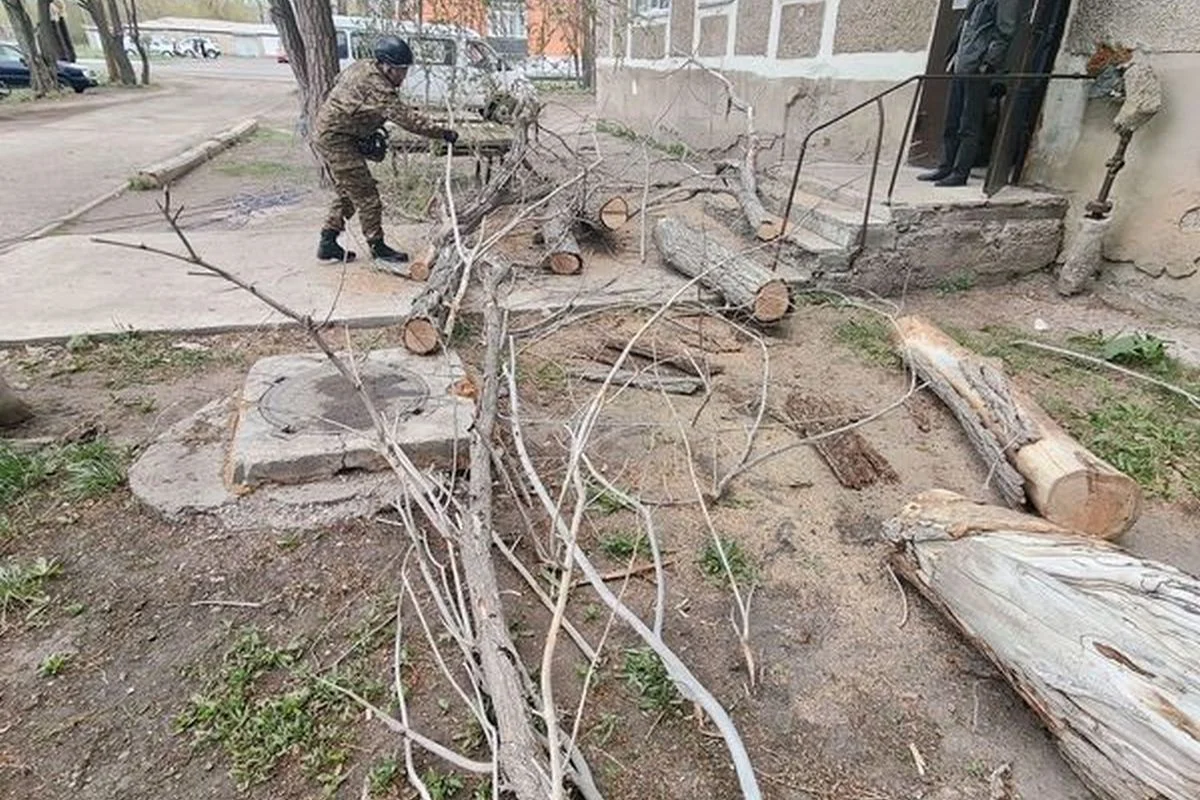 Срывал кровли и валил деревья: ураганный ветер обрушился на Карагандинскую область