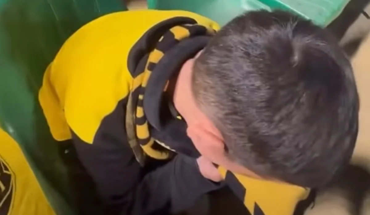 Юный болельщик «Кайрата» расплакался после матча и растрогал Казнет (ВИДЕО)