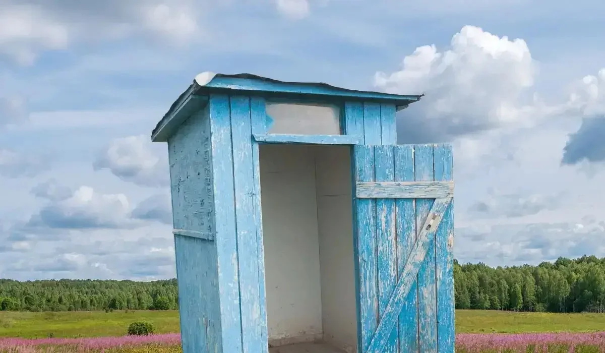 Мальчик упал в яму уличного туалета и получил тяжелое отравление в ЗКО