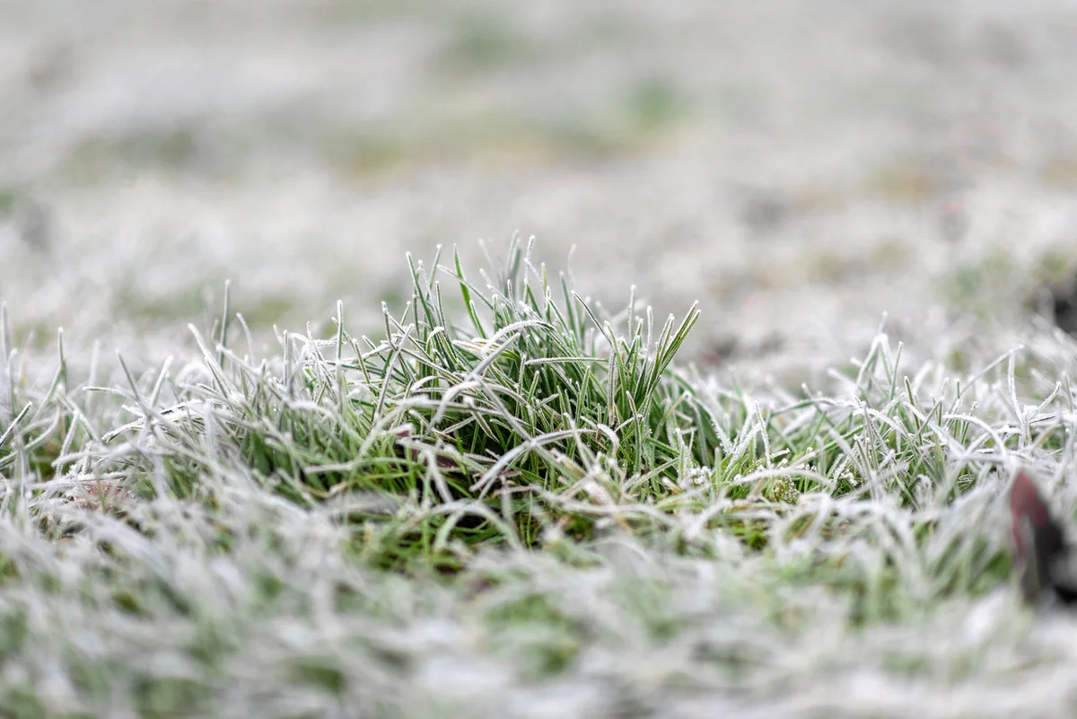 Заморозки сохраняются: штормовое предупреждение объявили в Казахстане на 28 апреля