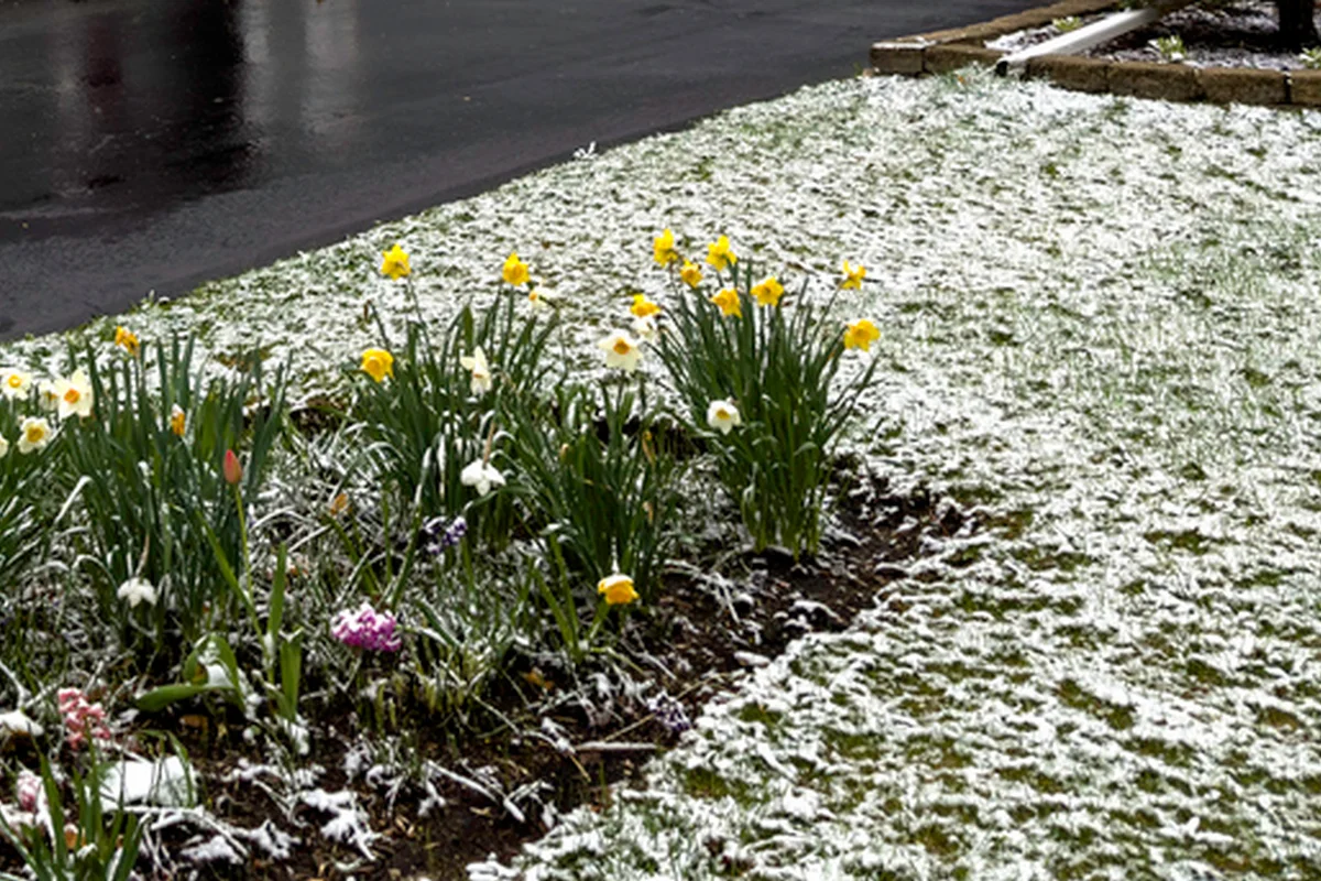 Заморозки и туман: штормовое предупреждение объявили в Казахстане на 29 апреля