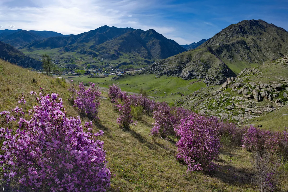 Осадков не ожидается на большей части Казахстана: прогноз погоды на 29 апреля