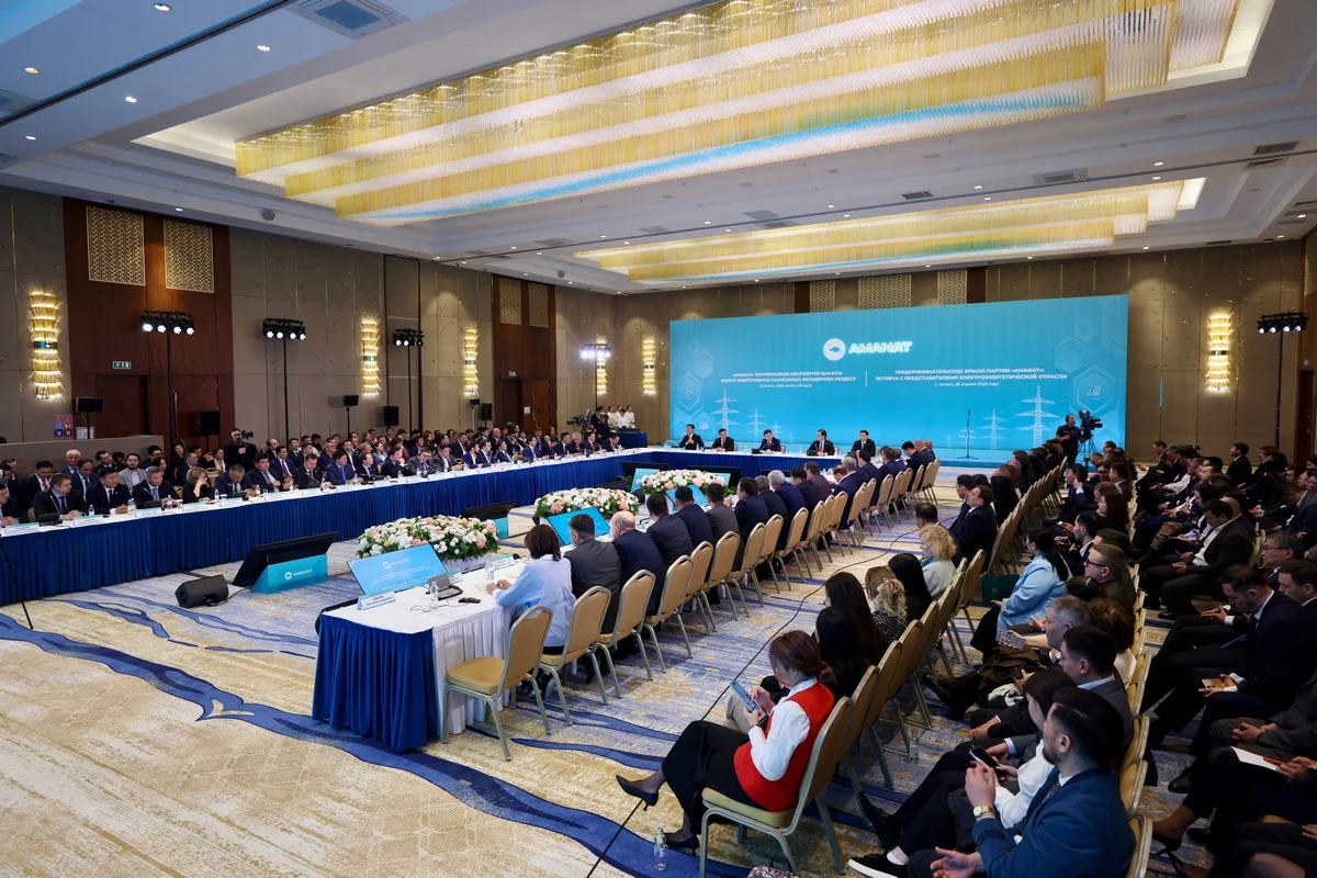 «AMANAT» и бизнес вместе займутся развитием энергетической отрасли