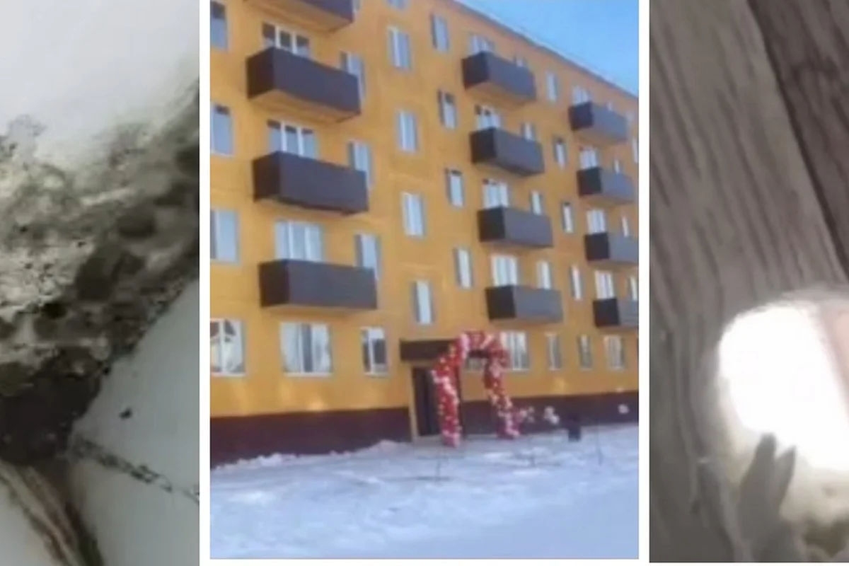 Черная плесень и дыры в полу: на соцжилье пожаловались жители Державинска