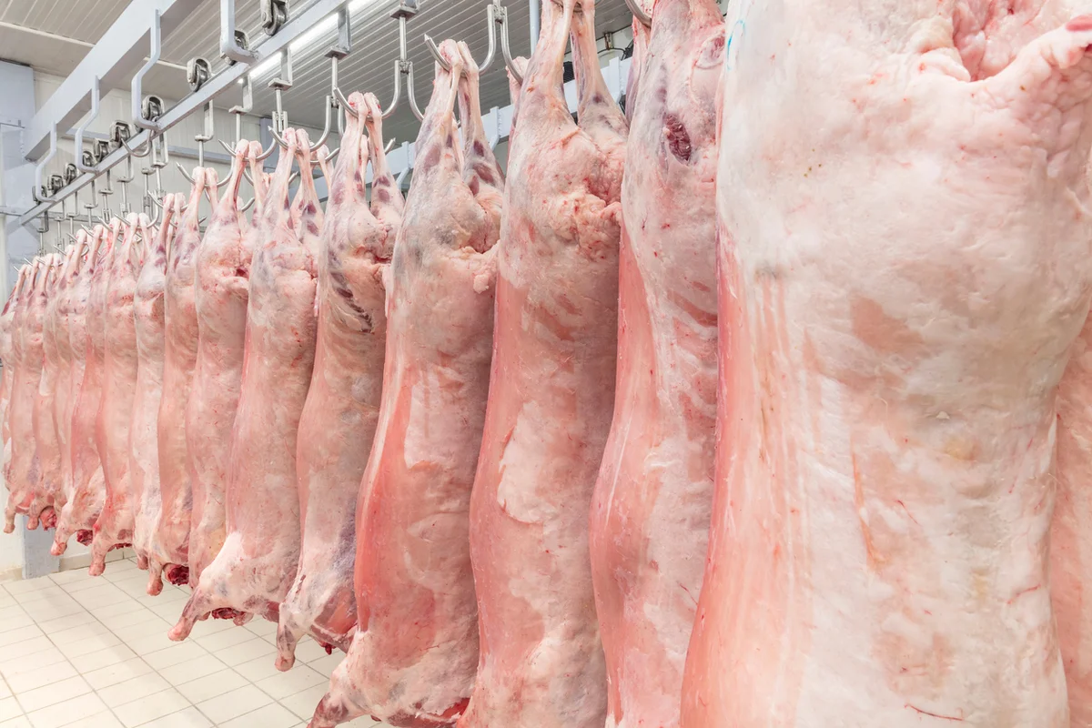 Казахстан готов экспортировать в Турцию мясную продукцию по стандарту «халяль»