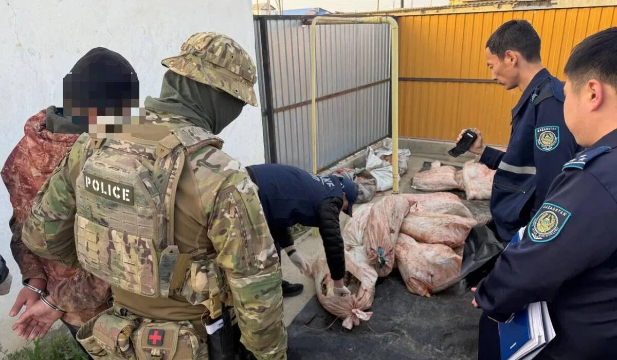 Более 4 тонн рыбы и килограмм икры: полиция изъяла улов браконьеров в Атырауской области