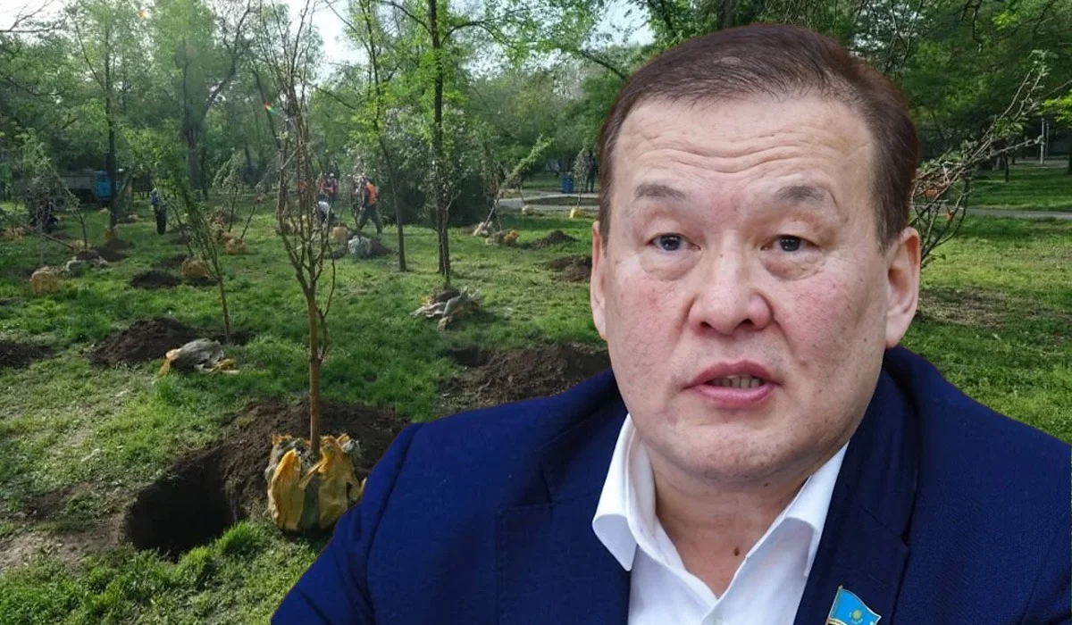Легализуют гибель до 70% саженцев: мажилисмен потребовал ужесточить контроль за озеленением