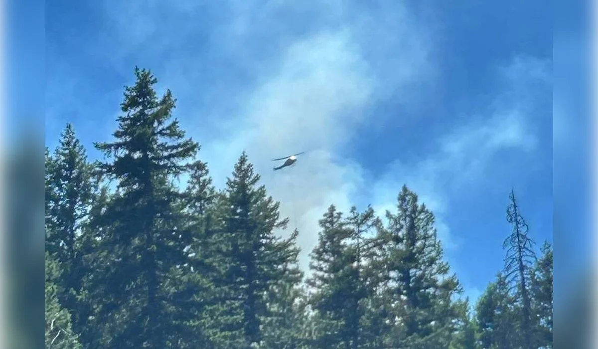 Крушение истребителя в США вызвало лесной пожар