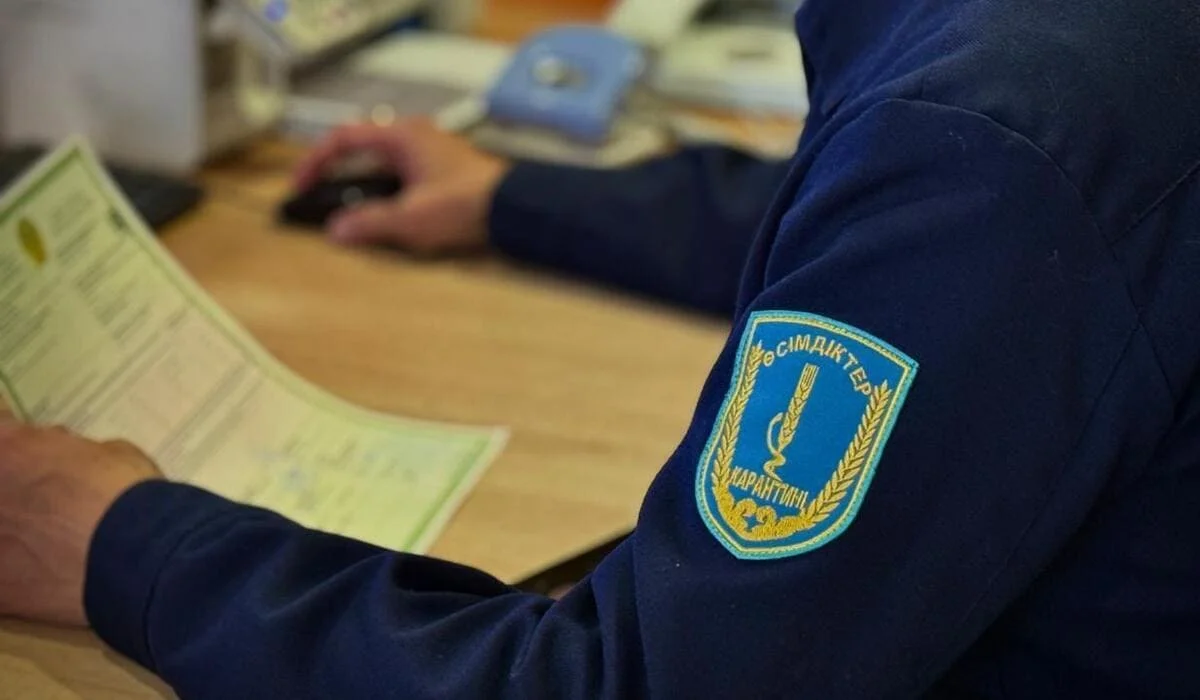 Больше 113 тонн продукции из Китая уничтожили в области Жетысу