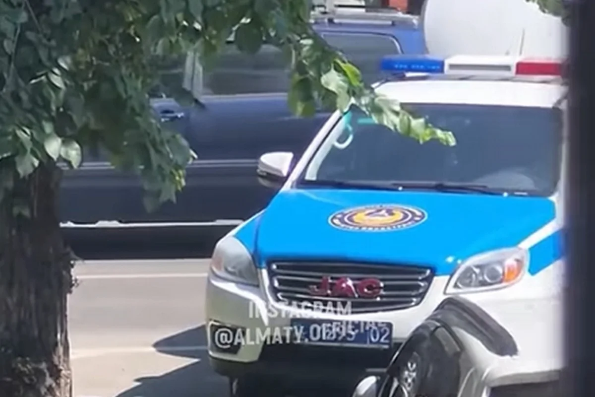 Жительница Алматы бросила камень в полицейский автомобиль и попыталась сбежать (ВИДЕО)